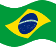 Flagge1